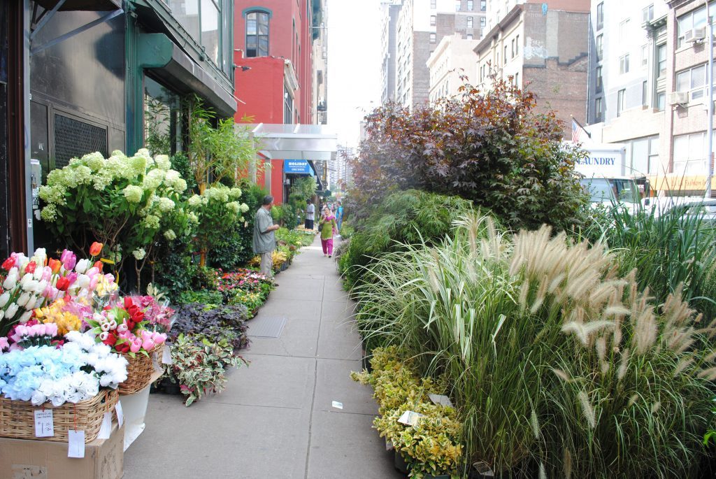 Exploring NYC’s Flower District With Susan Orlean