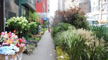 Exploring NYC’s Flower District With Susan Orlean